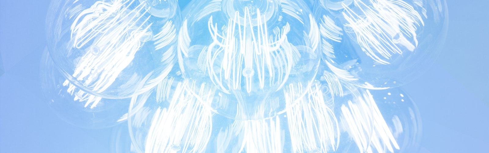 Light Bulbs