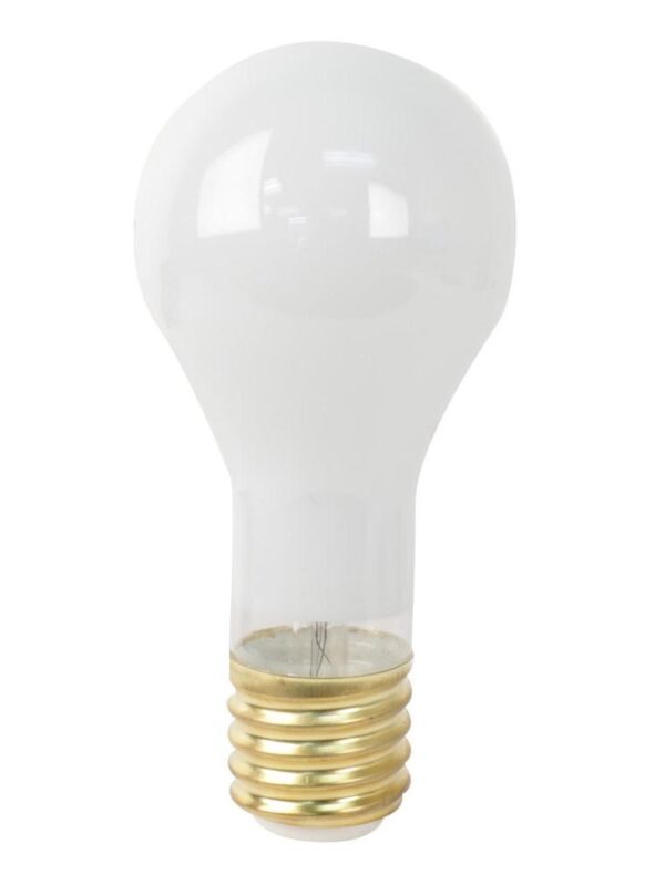 100-300 3Way Incandescent Lamp