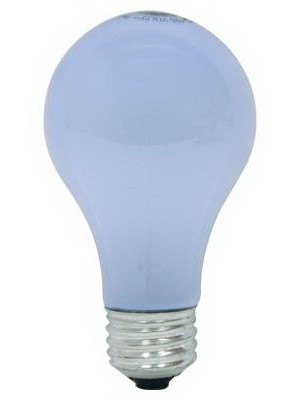 100A21CL-NEO-C Incandescent Lamp Neodymium