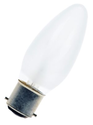 C25B22-220FR European Incandescent Lamp