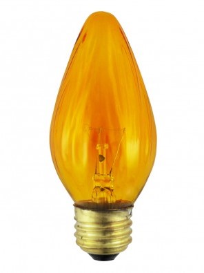25F15A Incandescent Lamp