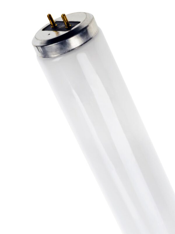 F25T12CW30 Fluorescent T12 Lamp