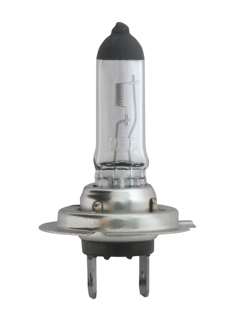 Geboorteplaats voorbeeld Diploma H7-2470 Halogen Automotive Lamp - AAMSCO Lighting