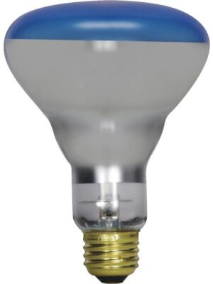 R75E27-220B European Incandescent Lamp