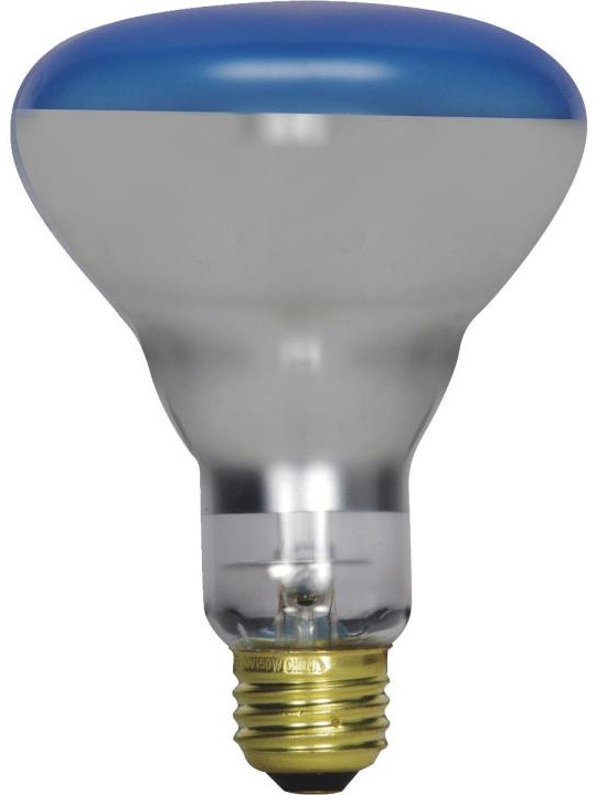 R75E27-220B European Incandescent Lamp