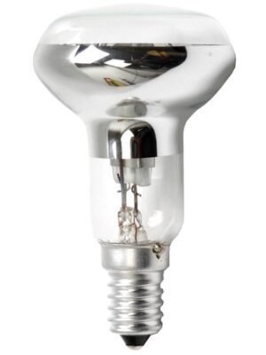 R40E14-220 European Incandescent Lamp
