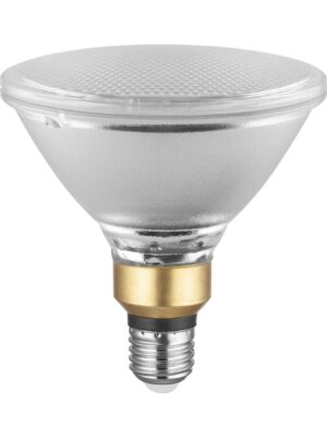 BAB-24V Halogen MR16 Lamp