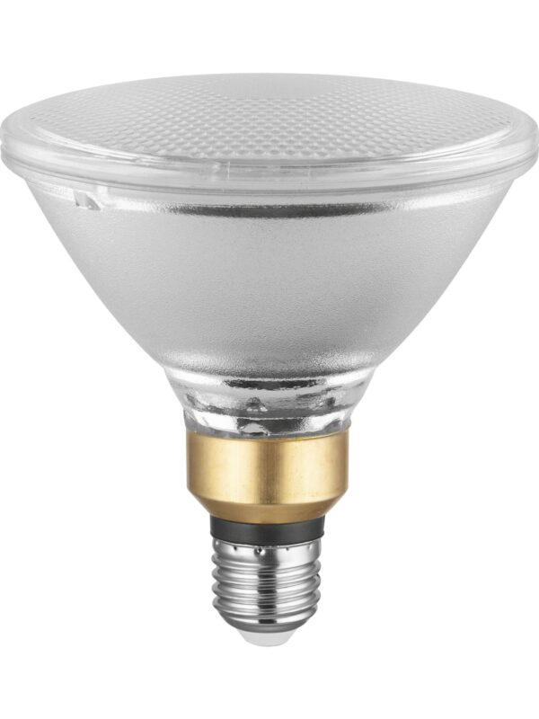 75PAR38SP Halogen Spot Light