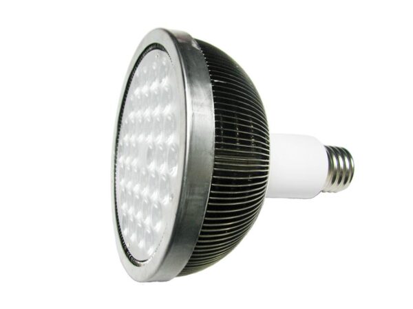 LED-PAR56WW