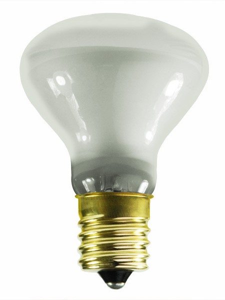 25R14N Incandescent Lamp