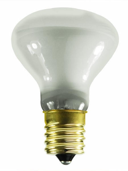 25r14n Incandescent Lamp Aamsco Lighting