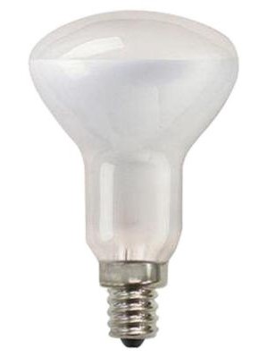 50R16C Incandescent Lamp