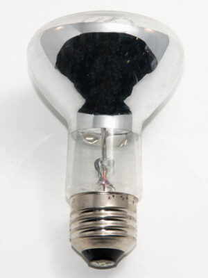 100R20FL-12V Incandescent FLood Lamp