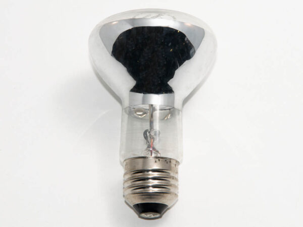 100R20FL-12V Incandescent FLood Lamp