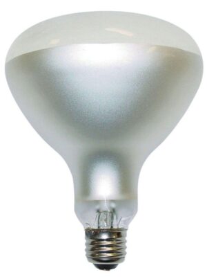 R150E27-240 Incandescent European Flood Light