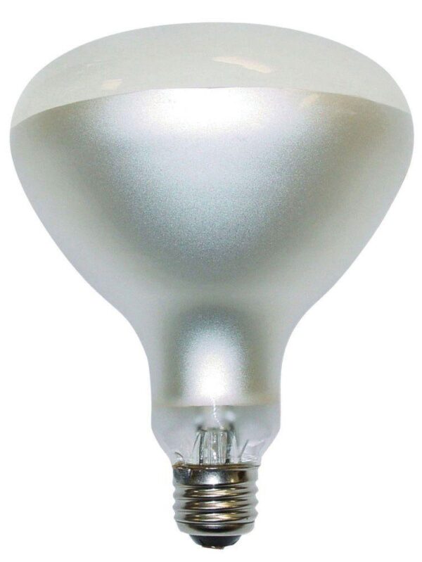 DXC Incandescent Photo Flood Lamp