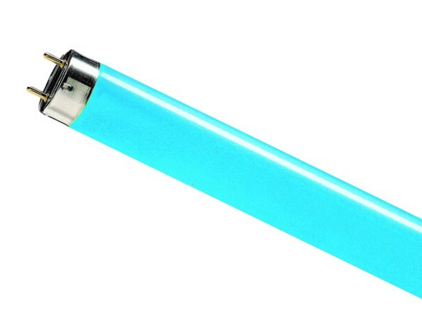 TLD18-18 Fluorescent Lamp