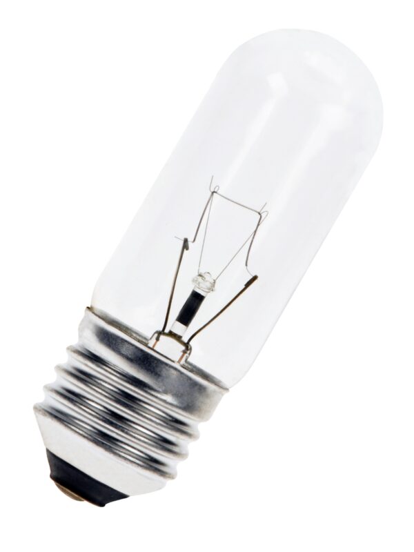 T25E27-120-70MM European Incandescent Lamp