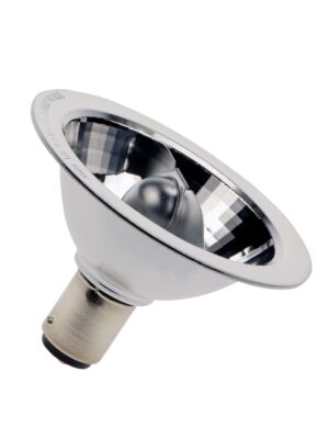 41995SP Halogen Flood Lamp