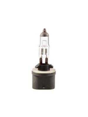 893 Halogen Automotive Lamp