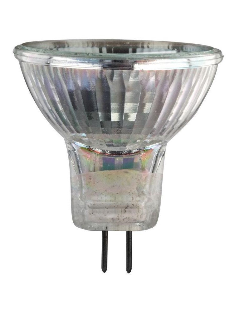 Krijger Frank bodem MR11-6V5W Halogen Lamp - AAMSCO Lighting