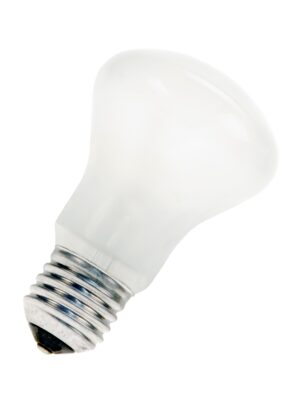 M60E27-120FR European Incandescent Lamp