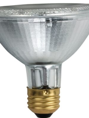 50PAR30FL Halogen Flood Light