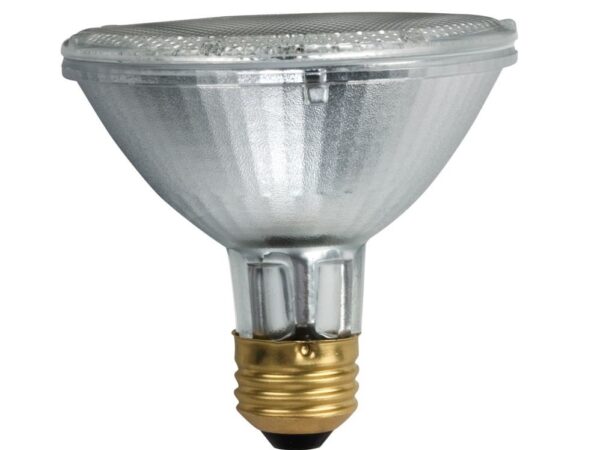 50PAR30FL Halogen Flood Light