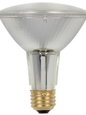 50PAR30LN-SP Halogen Long Neck Spot Light