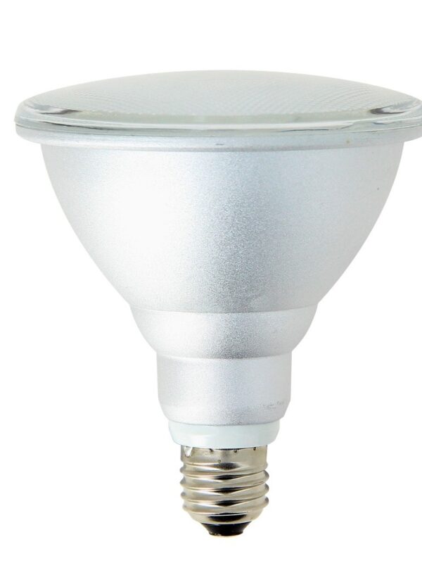 LED-PAR38-W