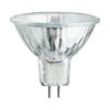 Rex Wall Sconce