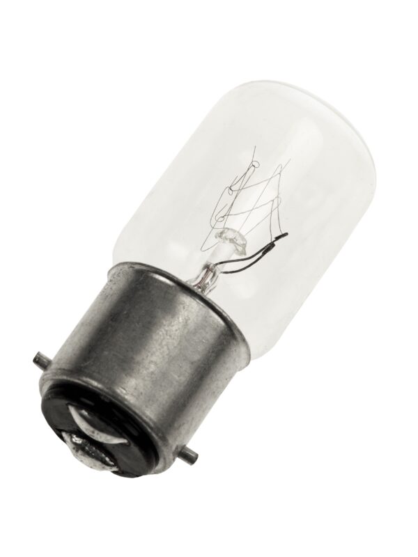 P25B22-220 European Incandescent Lamp