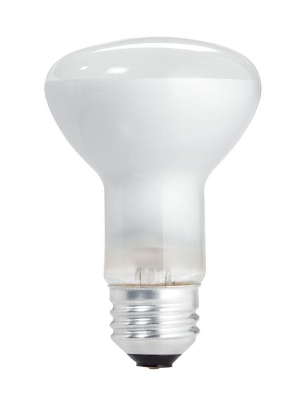 R60E27-120 European Incandescent Lamp