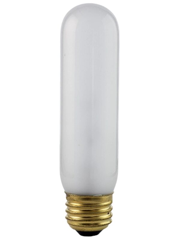 60T10F-220V Incandescent Lamp