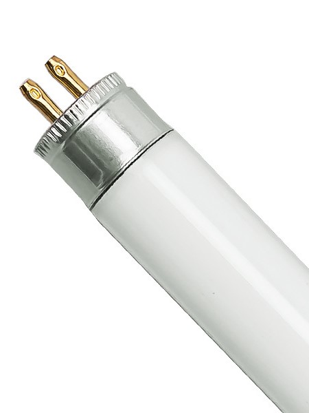 Knorretje Uitsluiten Schandelijk TL5-14W-835 Fluorescent Lamp - AAMSCO Lighting