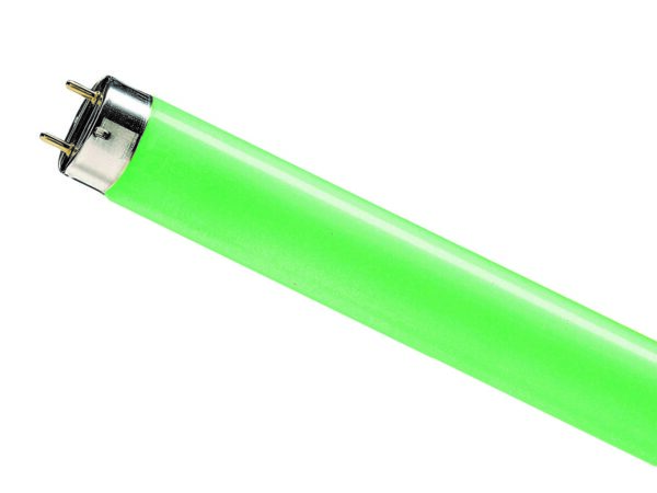 TLD36-17 Fluorescent Lamp