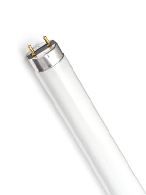 L18W-76 Fluorescent T8 Lamp