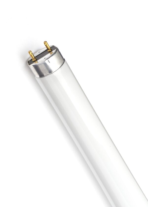F70-84 Fluorescent Lamp